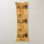 Coussins Longs I'm Lost in Le Tianguie, Mexique (Devant (Vertical))