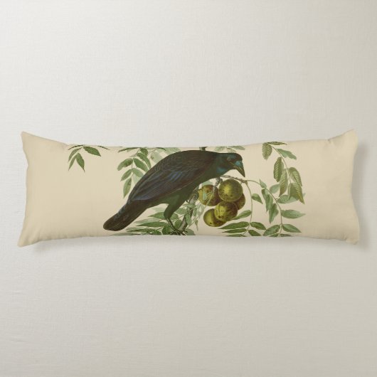 Coussins Longs Impression d'oiseau Grackle Violet d'Audubon Botan (Devant)