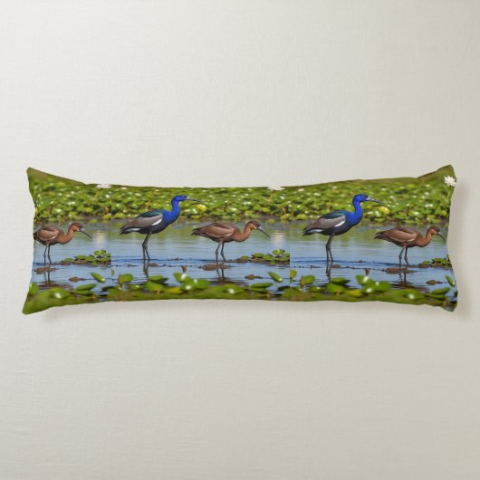 Coussins Longs Jacana iridescent et compagnon rouillé – Corps élé (Devant)