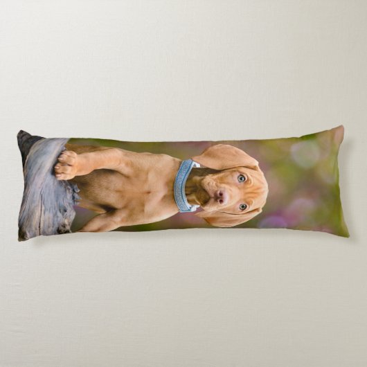 Coussins Longs Joli chiot hongrois Vizsla Chien Chien Photo _. (Dos)