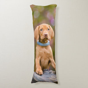 Coussins Longs Joli chiot hongrois Vizsla Chien Chien Photo _.
