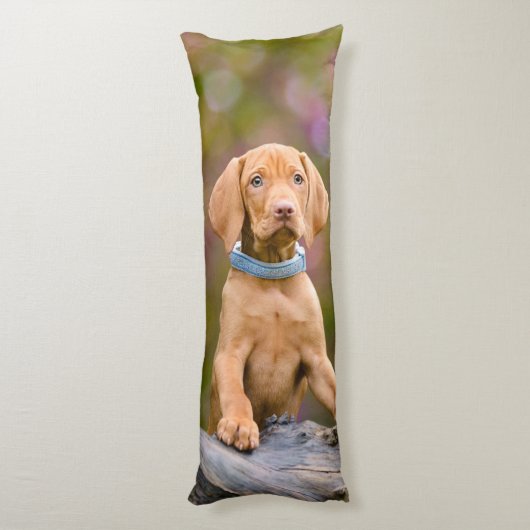 Coussins Longs Joli chiot hongrois Vizsla Chien Chien Photo _. (Dos (Vertical))