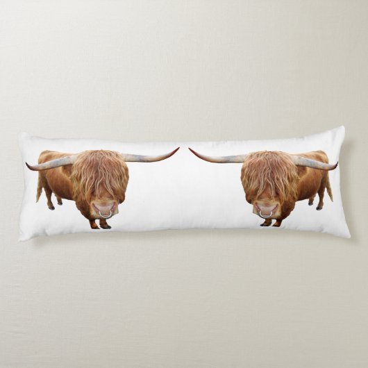 Coussins Longs Lanceur écossais (Dos)