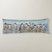 Coussins Longs Les îles Falkland. L'île Saunders. Gentoo (Dos)