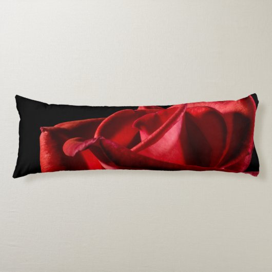 Coussins Longs Lion (Devant)