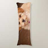 Coussins Longs Mélange de caniche de bébé ou chiot maltais de (Devant (Vertical))