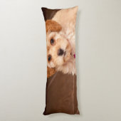 Coussins Longs Mélange de caniche de bébé ou chiot maltais de (Dos (Vertical))