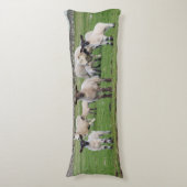 Coussins Longs Mouton des Shetland (Devant (Vertical))