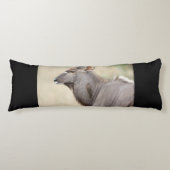 Coussins Longs Nyala avec pic (Devant)