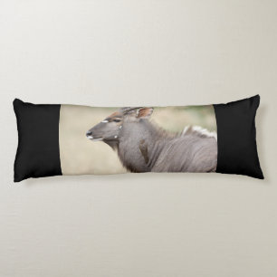 Coussins Longs Nyala with oxpecker