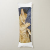 Coussins Longs Oreiller corps de chat orange endormi (Devant (Vertical))