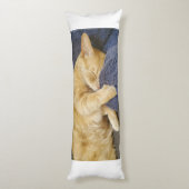 Coussins Longs Oreiller corps de chat orange endormi (Dos (Vertical))
