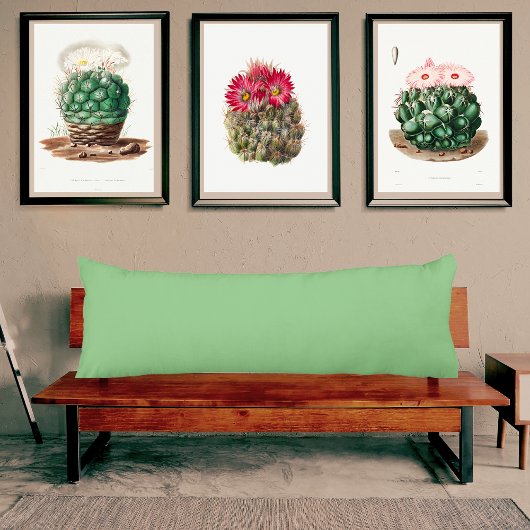 Coussins Longs Oreiller couleur unie vert sauge clair
