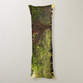 Coussins Longs Oreiller de corps (Dos (Vertical))