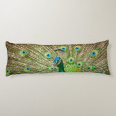 Coussins Longs Pacock (Dos)