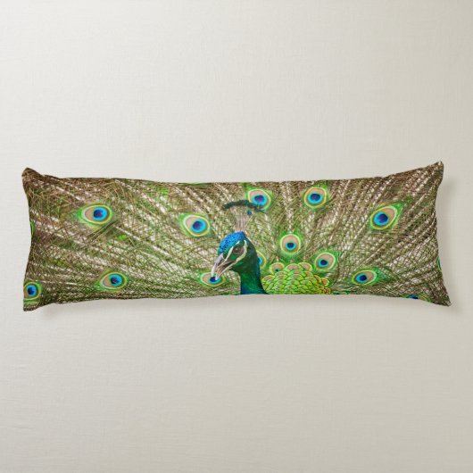 Coussins Longs Pacock (Dos)