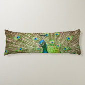 Coussins Longs Pacock (Devant)