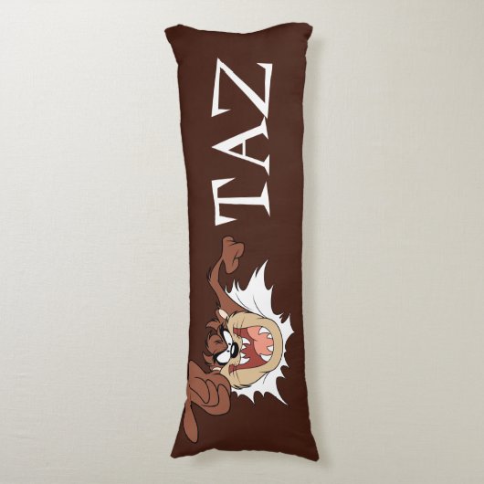 Coussins Longs Page TZ™ Burning Through (Devant (Vertical))