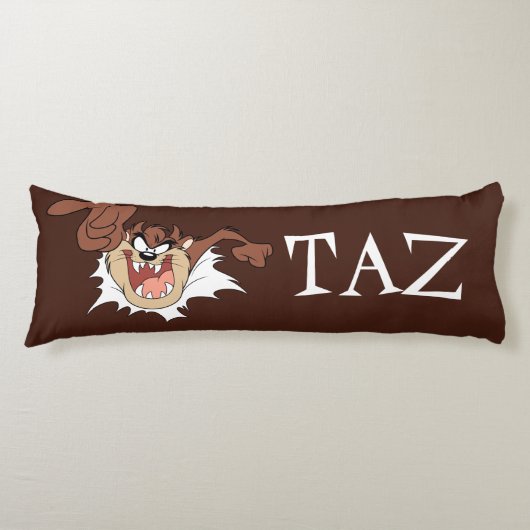 Coussins Longs Page TZ™ Burning Through (Devant)