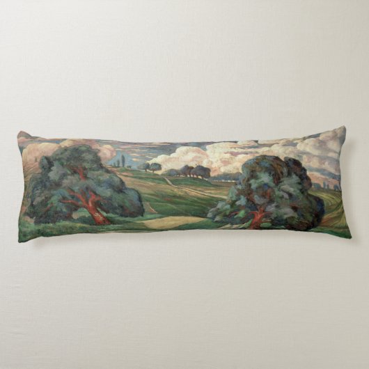 Coussins Longs Paysage de Fauve (Dos)