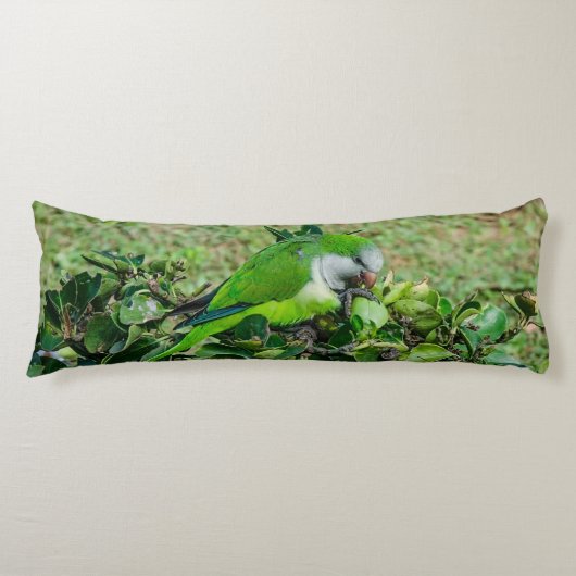 Coussins Longs Perroquet vert (Devant)
