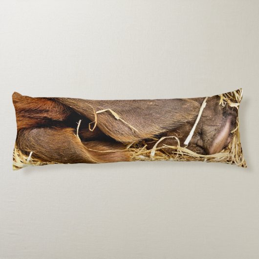 COUSSINS LONGS PIÈCES (Dos)