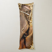 COUSSINS LONGS PIÈCES (Dos (Vertical))