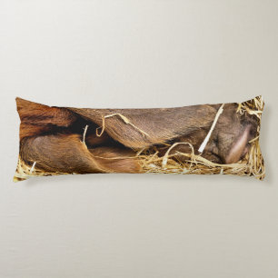 COUSSINS LONGS PIÈCES