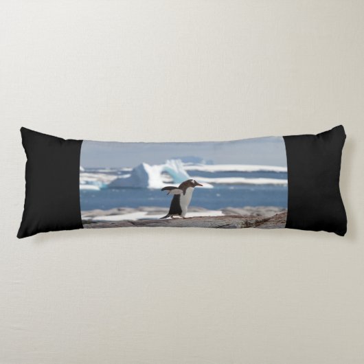 Coussins Longs Pingouin devant une arche de glace (Devant)