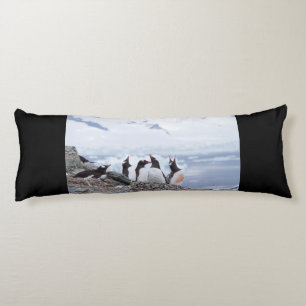 Coussins Longs Pingouins en Antarctique