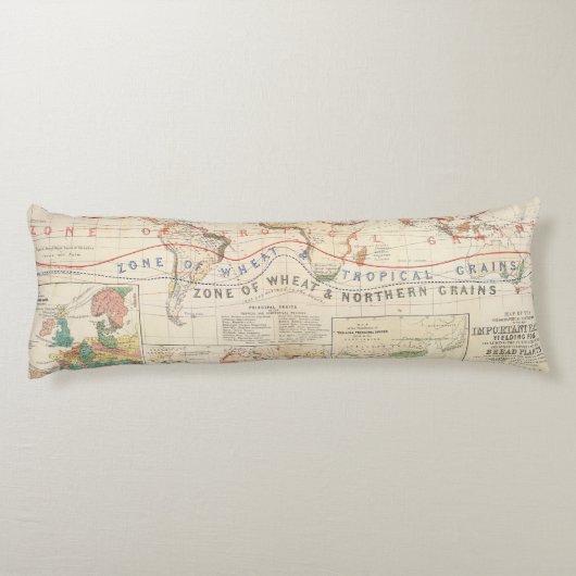 Coussins Longs Plantes de distribution (Dos)