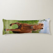 Coussins Longs Poney islandais aux amants drôles d'un cheval de (Dos)