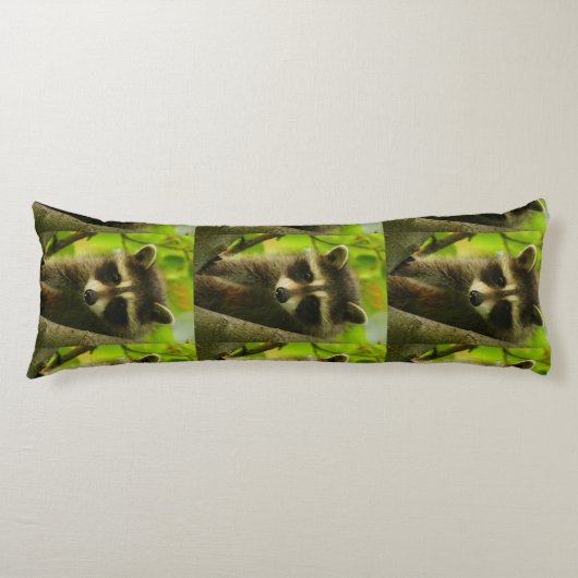 Coussins Longs raton laveur (Devant)