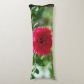 Coussins Longs Red rose flower (devant Vertical)