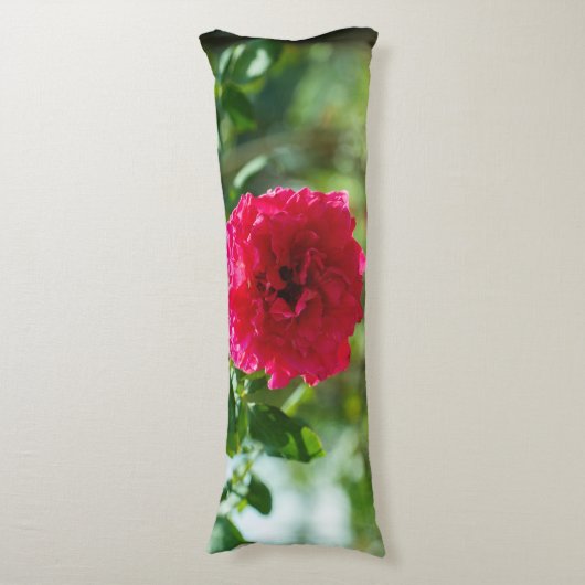 Coussins Longs Red rose flower (devant Vertical)