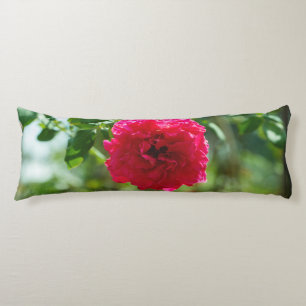 Coussins Longs Red rose flower