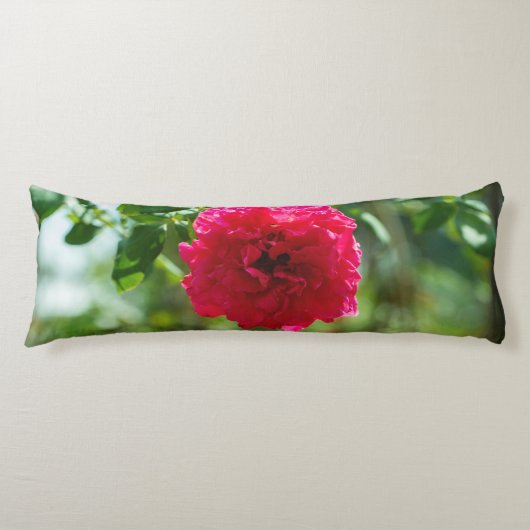 Coussins Longs Red rose flower (Devant)