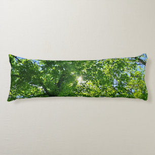 Coussins Longs Regardant vers les feuilles vertes et le ciel bleu