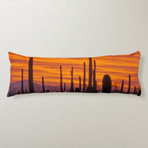 Coussins Longs Saguaro, coucher de soleil, Parc national de Sagua