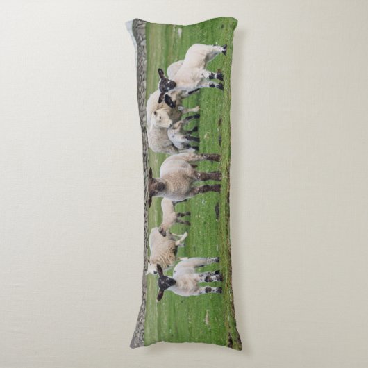 Coussins Longs Shetland Sheep (Devant (Vertical))