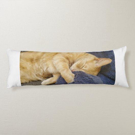 Coussins Longs Sleepy Orange Cat Body Pillow (Dos)