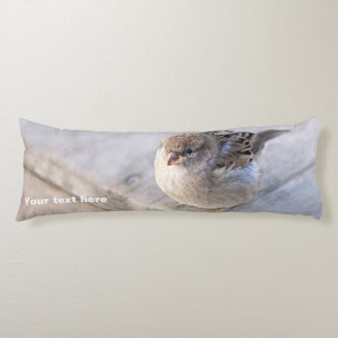 Coussins Longs Sparrow