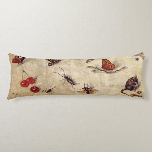 Coussins Longs T31567 une étude de divers insectes, fruit et (Devant)