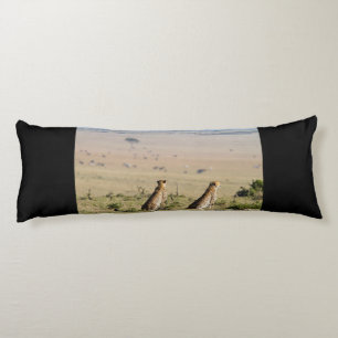 Coussins Longs Two cheetahs on the look out