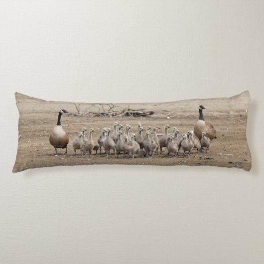 Coussins Longs Une grande famille d'oies du Canada (Devant)