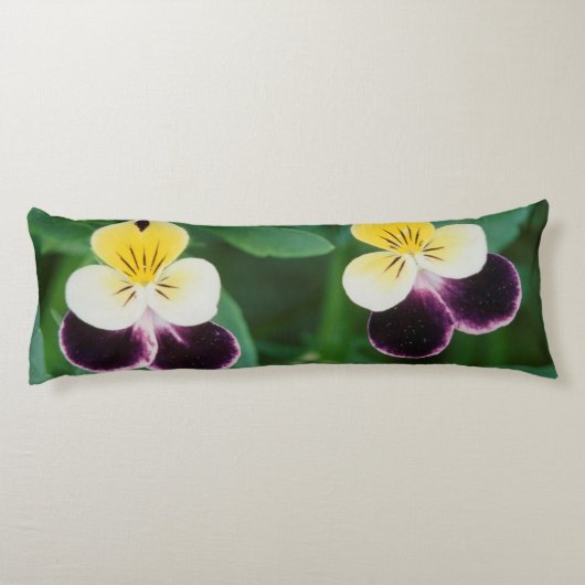 Coussins Longs USA, Utah, Cache Valley, Johnny Jump Up (Dos)