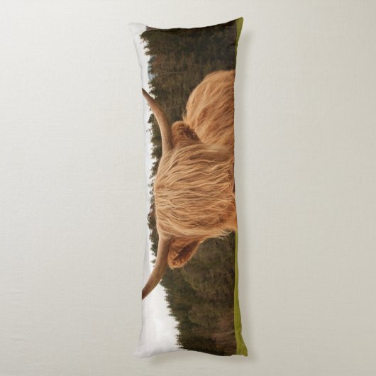 Coussins Longs Vache Highland #7 #mur #art (Dos (Vertical))