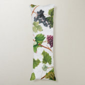 Coussins Longs Vignoble de raisins Ile grecque méditerranéenne (Devant (Vertical))