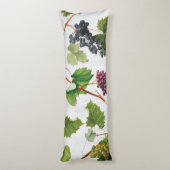 Coussins Longs Vignoble de raisins Ile grecque méditerranéenne (Dos (Vertical))