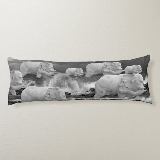 COUSSINS LONGS VOYAGE ÉLÉPHANT (Dos)